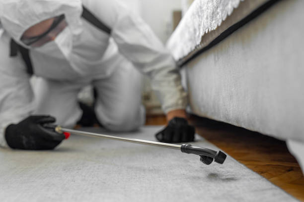 Professional Bed Bug Control technician working in Coopersville, MI