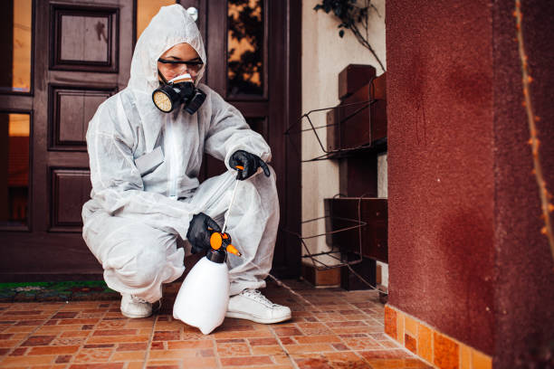 Reliable Bed Bug Control contractor in Coopersville, MI by Nex Pest Control