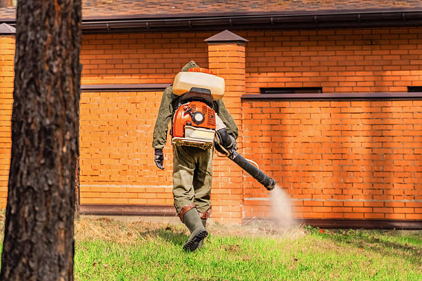 Trusted Termite Control service in Coopersville, MI - Nex Pest Control